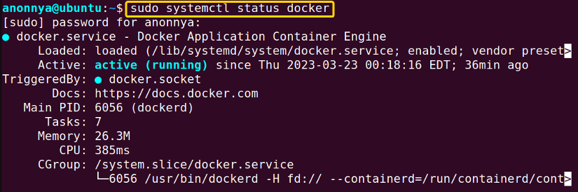Checking docker status.