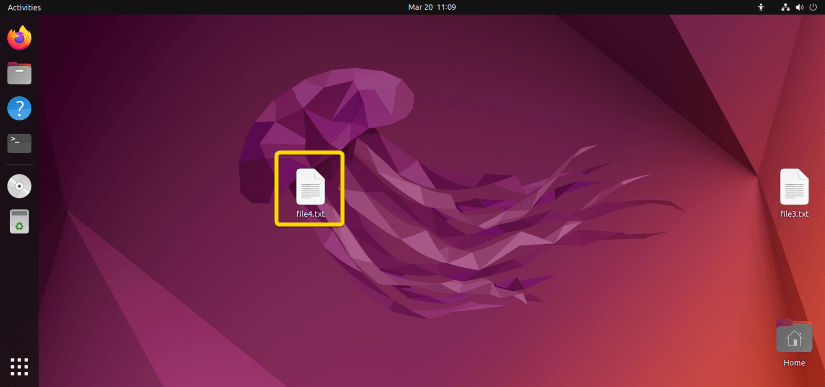 The file4.txt file is on the desktop.