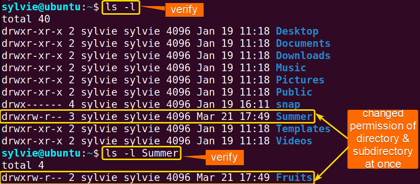  verify folder and subfolder permission