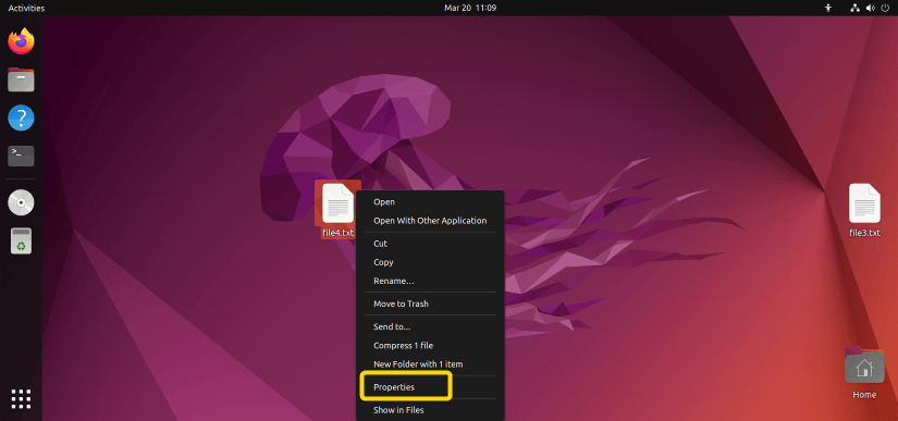 Few options appeared after right-clicking on the file4.txt file.