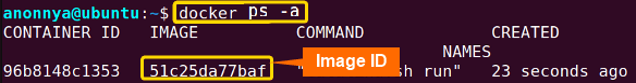 Retrieving the tomcat image ID.