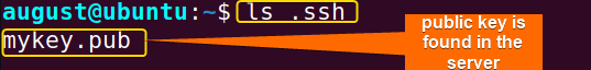 found the public key in the server