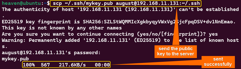send the public key to the server