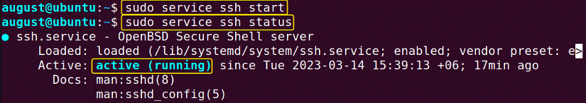 turn on server and check status