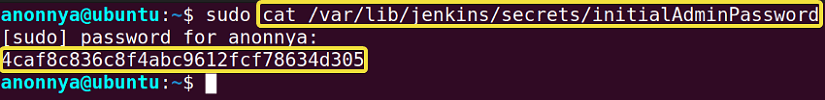 Getting initial admin password for Jenkins server.