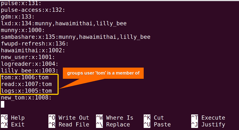 User groups listed in the /etc/group file.