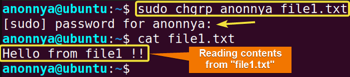 Giving user permission with chgrpcommand in Linux.