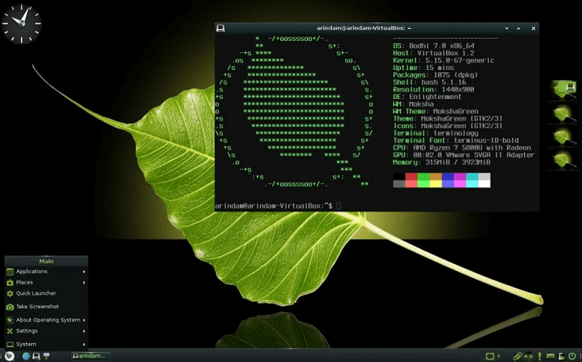 Fastest Linux distro Bodhi
