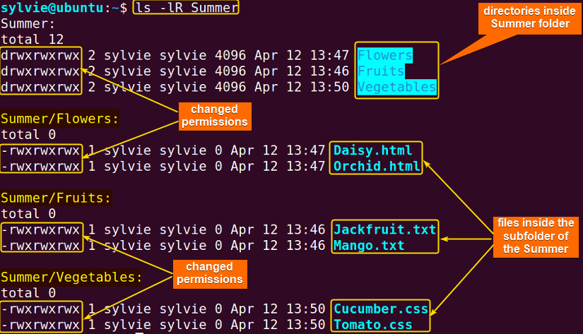 view changed permissions of chmod recursive directories and files