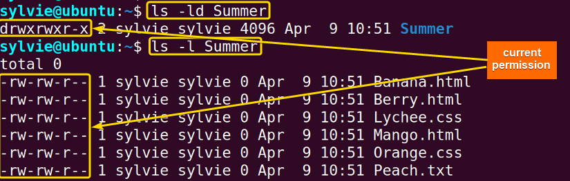 view current permissions of chmod recursive directories and files