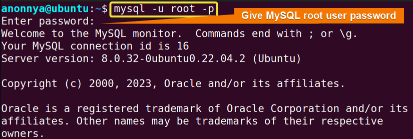 Logging into MySQL root account.