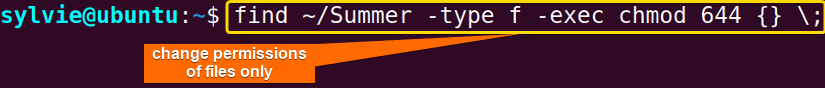 change permissions of chmod recursive directories and files