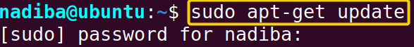 Advanced package utility update for the local system