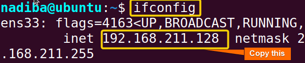 Copying the IP address