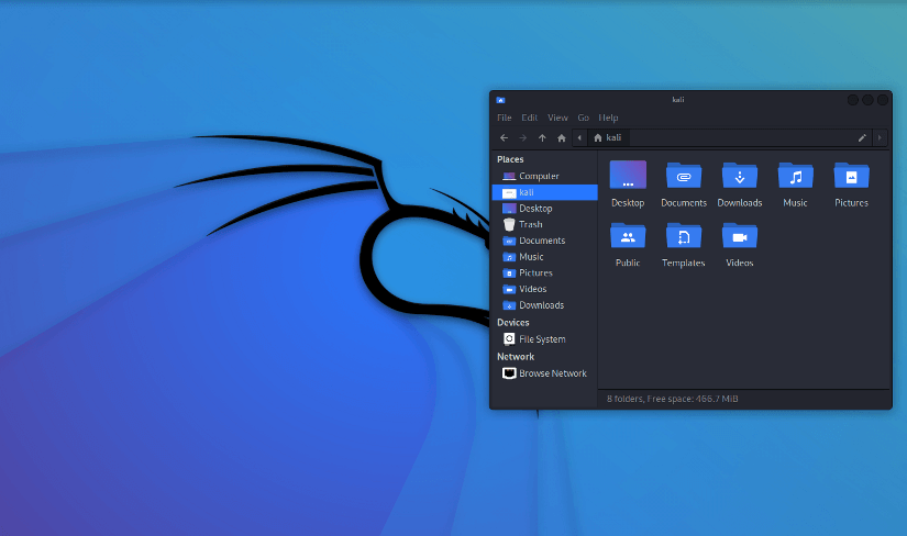 Kali Linux distribution