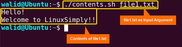 Run contents.sh script for "cat in Bash"
