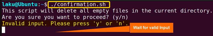 Invalid input while taking user confirmation