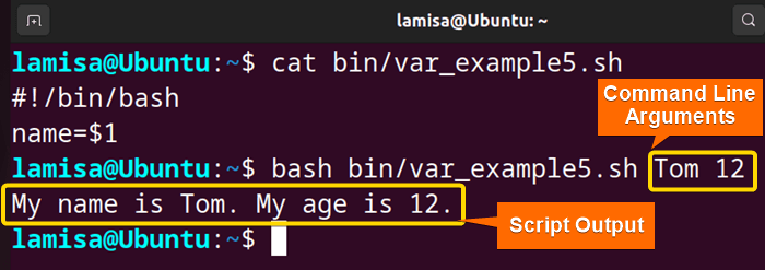 Showing script output