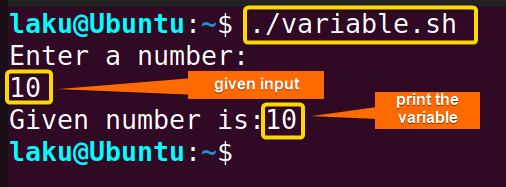Display variable using echo Bash command