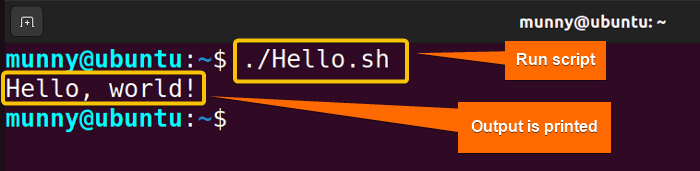 Run a bash script