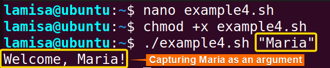 Using command line arguments to assign variables