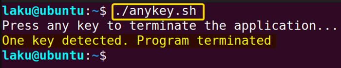 Press any key to terminate without timeout