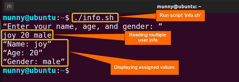 Running Bash script for reading multiple inputs