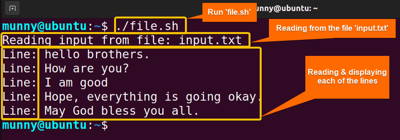 Running Bash script for reading from a file