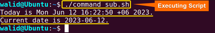 Executing "command_sub.sh" script
