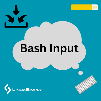 Bash input feature image.
