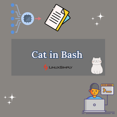 Cat in Bash