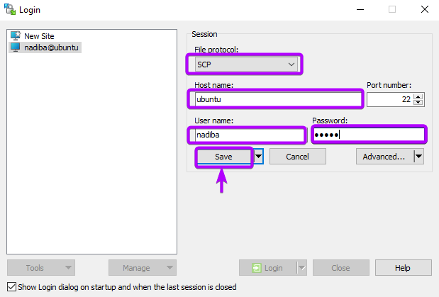 Entering file protocol, hostname, name, user-password in login window