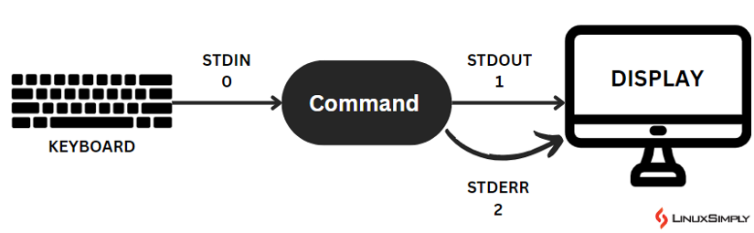 Standard input, output & error in Bash