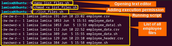 list all files that contains employee in their names