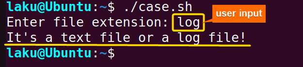 Case-statement-in-Bash