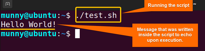 Executing a bash script 