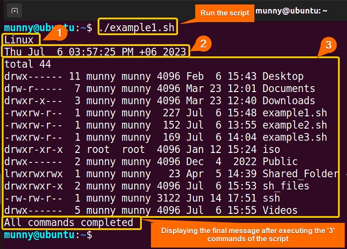 Run bash commands in parallel with '&' operator