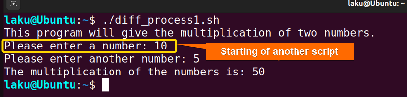 Calling another script in different process