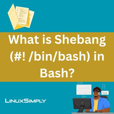 bin bash script