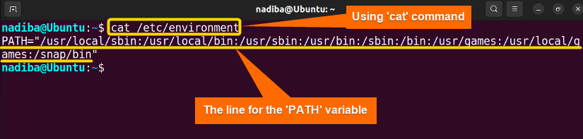 Viewing the contents of the file '/etc/environment' and checking the 'PATH' variable using the 'cat' command