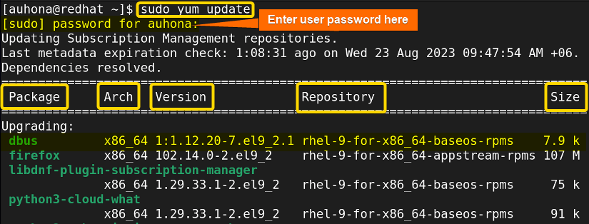 Enlists the packages of RHEL using the sudo yum update command.