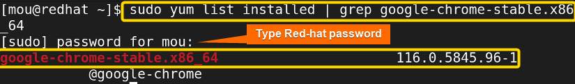 Searching the google chrome package in the yum installed list
