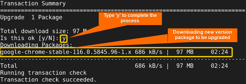 typing y to give permission to start downloading the new version to be upgraded