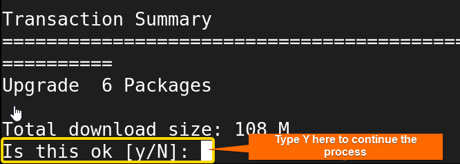 Press 'y' to continue the update process.