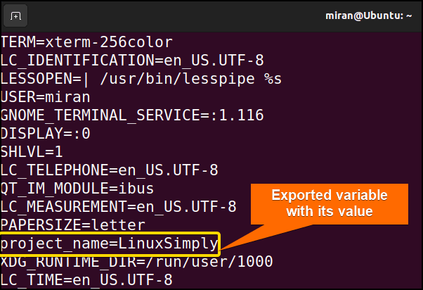 checking exported bash variable