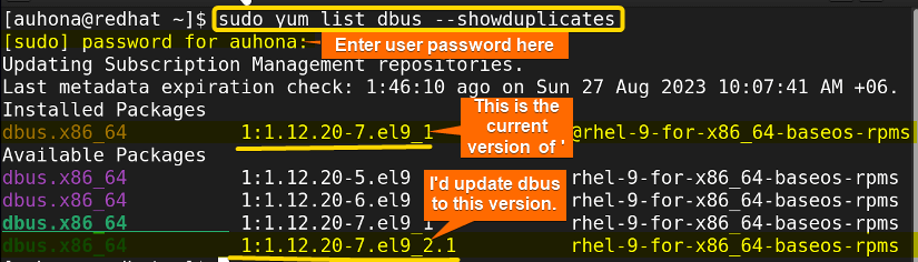 Enlists the all the available versions of 'dbus' package.