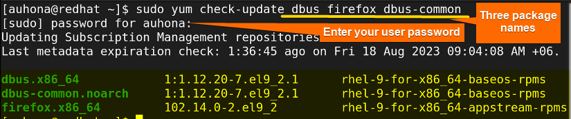 Here I've listed update information for three packages.