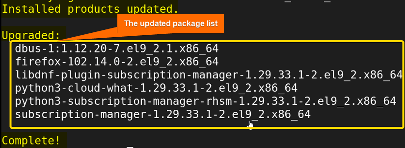Shows the list of the updated packages of newer versions.