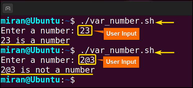 output image if variable contains number