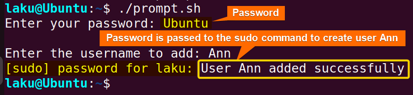 Read password from user prompt